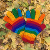 Rainbow Gloves