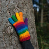 Rainbow Gloves