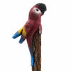 Parrot Sawdust Pencil