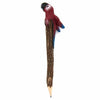 Parrot Sawdust Pencil-Office & Stationery-Siesta Crafts