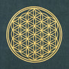 Flower of Life Stonewashed T-Shirt