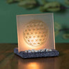 Flower of Life Enlightened Display