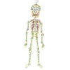 Candy Skeleton-Home Décor-Siesta Crafts