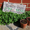 Witch's Garden Plaque