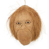 Coconut Monkey Mask