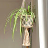 Macrame Plant Hanger