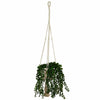 Macrame Plant Hanger