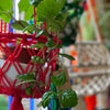 Bright Macrame Plant Hanger