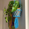 Bright Macrame Plant Hanger