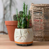 Face Design Soapstone Planter