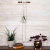 Wall Macrame Plant Hanger