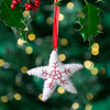 Star Felt Christmas Decoration