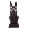 Anubis Resin