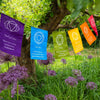 Chakra Prayer Flags