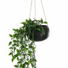 Cut Out Coconut Plant Hanger-Plant Pots, Vases & Hangers-Siesta Crafts