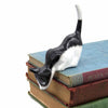 Black and White Shelf Cat-Ornaments & Figurines-Siesta Crafts