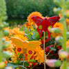 Butterfly Stick Garden Ornament