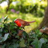 Robin on a Stand