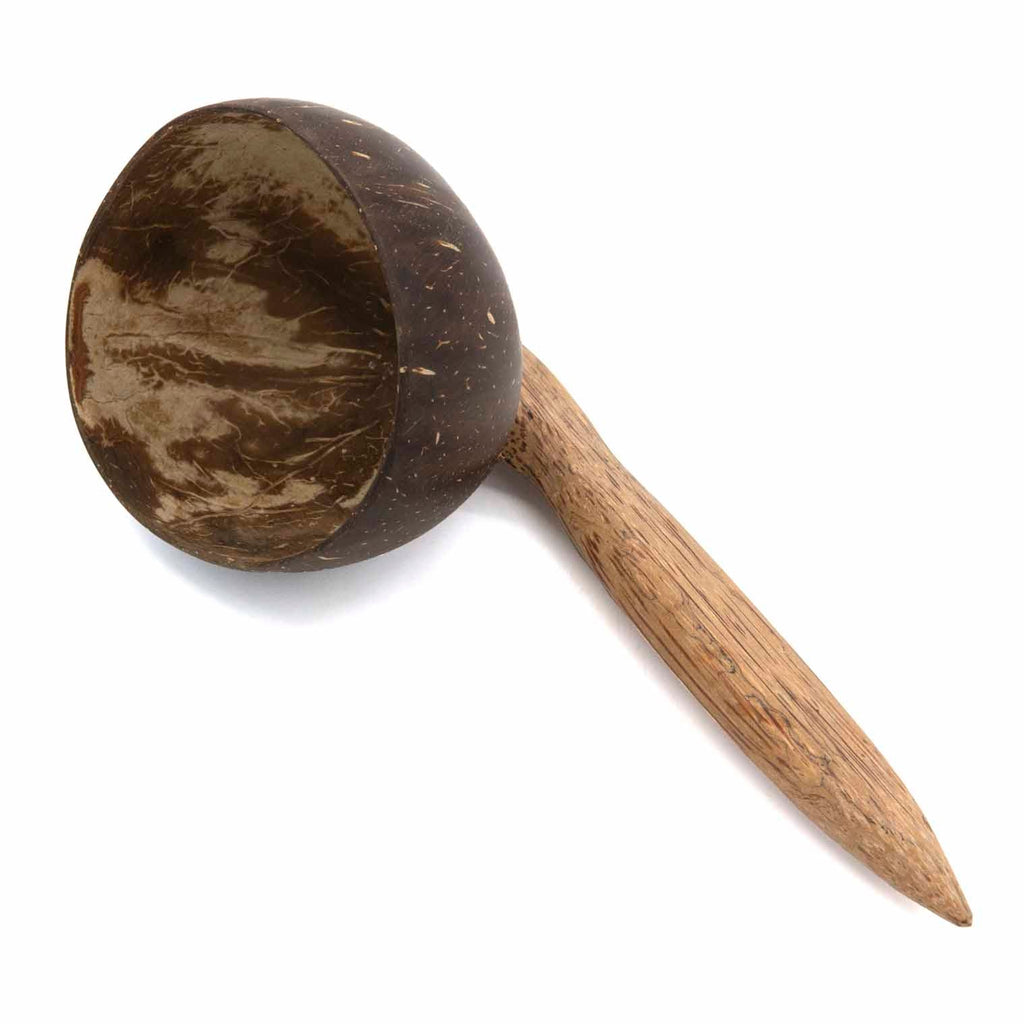 Coconut Scoop