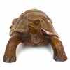 Carved Tortoise-Ornaments & Figurines-Siesta Crafts