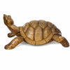 Carved Tortoise-Ornaments & Figurines-Siesta Crafts