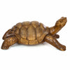 Carved Tortoise-Ornaments & Figurines-Siesta Crafts