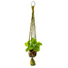 Recycled Sari Plant Hanger Small-Plant Pots, Vases & Hangers-Siesta Crafts