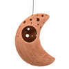 Moon Ceramic Air Plant Hanger