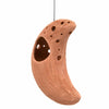 Moon Ceramic Air Plant Hanger