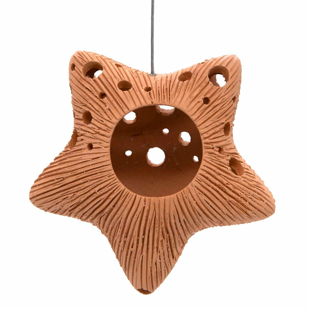 Star Ceramic Air Plant Hanger