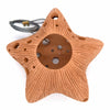 Star Ceramic Air Plant Hanger