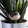 Piranha Fish Ceramic Plant Pot Buddy