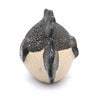 Piranha Fish Ceramic Plant Pot Buddy