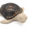 Turtle Ceramic Plant Pot Buddy-Ornaments & Figurines-Siesta Crafts