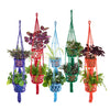 Bright Double Macrame Plant Hanger